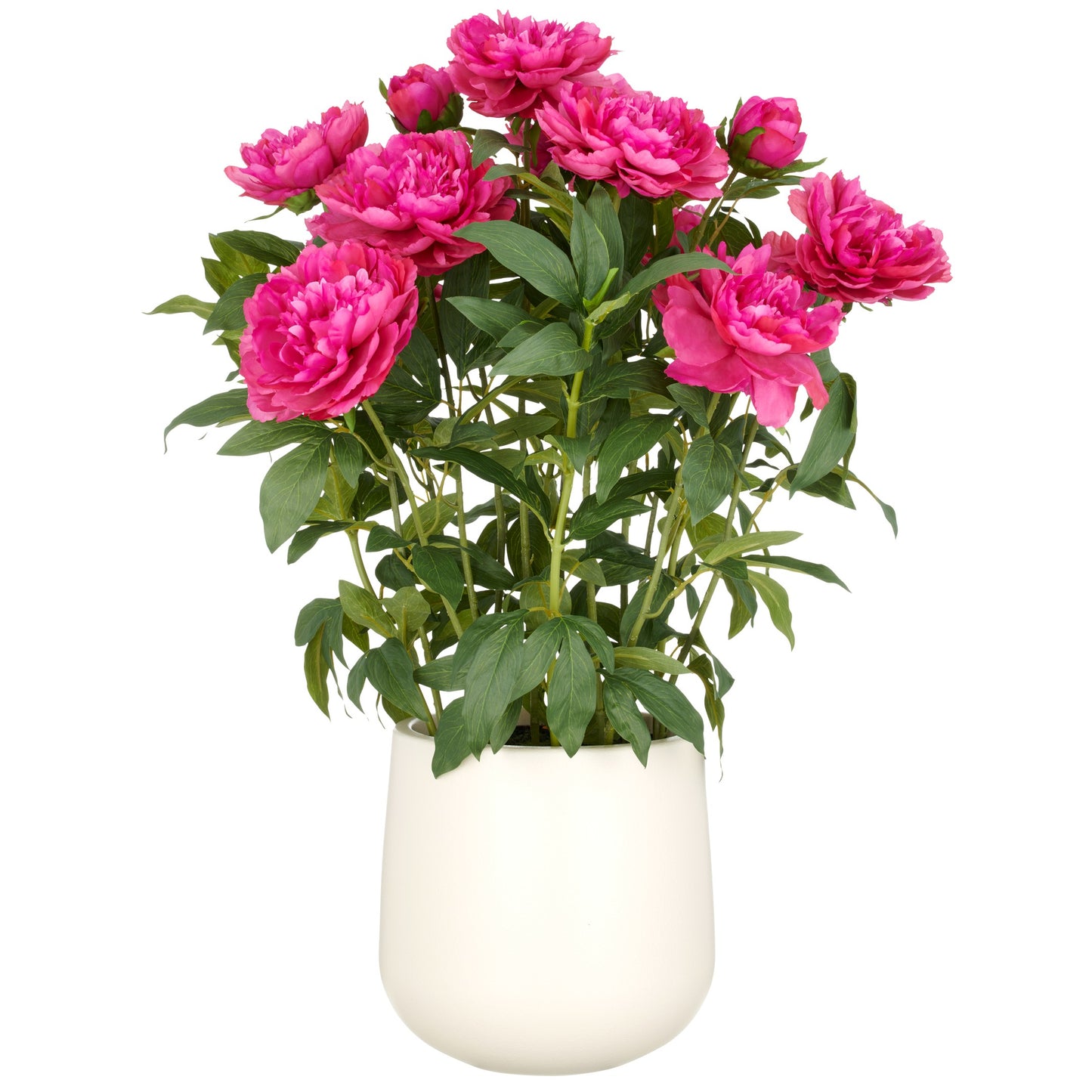 Künstliches Peonien Arrangement 80 cm Fuchsia in cremefarbenem Kunststofftopf 24x26 cm langlebig pflegeleicht