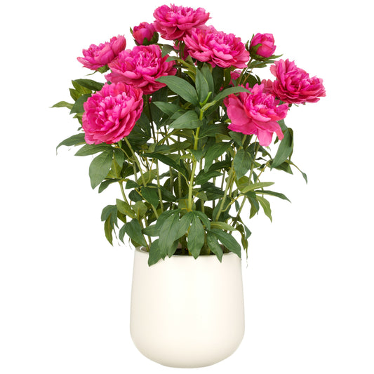 Künstliches Peonien Arrangement 80 cm Fuchsia in cremefarbenem Kunststofftopf 24x26 cm langlebig pflegeleicht