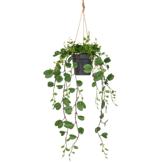 Bauhinia Kunstpflanze ca. 60 cm grün im Hängetopf 12,5x11 cm Kunststoff dekorativ