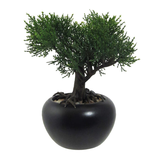 2er Set Bonsai Zeder Kunstpflanze 19 cm in schwarzem Keramiktopf Ø10 cm, pflegeleicht