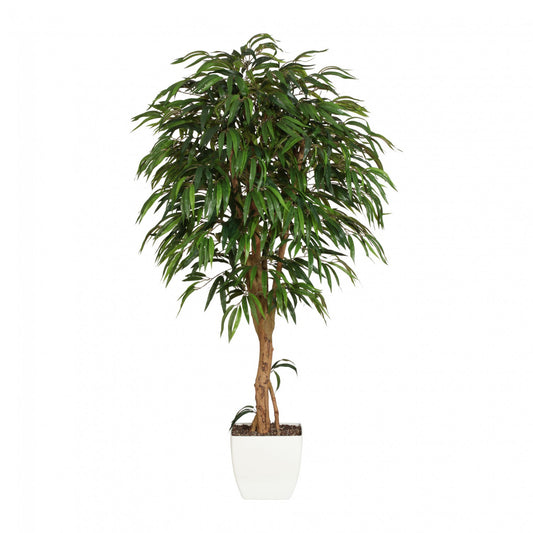 Weeping-Ficus Kunstpflanze 180 cm mit Naturstamm - Perfekte Deko fürs Zuhause