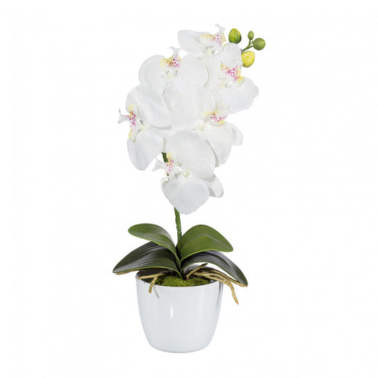Kunst-Orchidee Phalaenopsis 40 cm in Weiß – Pflegeleichte Tischdeko für Ihr Zuhause