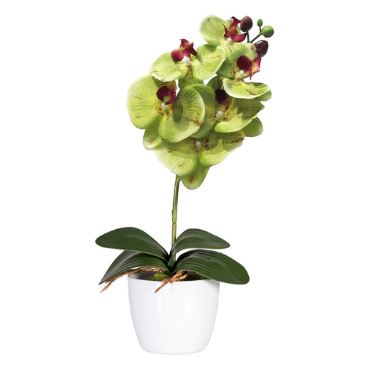 Kunstpflanze Tulsa Orchidee Phalaenopsis 40 cm grün - Pflegeleichte Tischdeko pentru Zuhause
