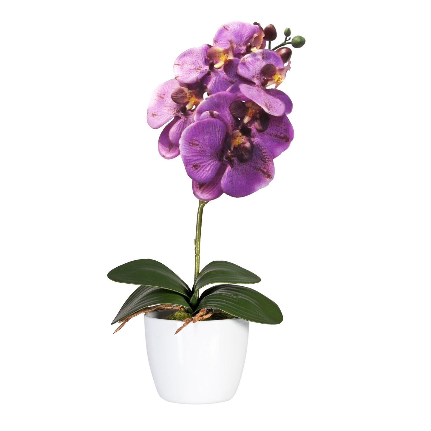 Kunstorchidee Phalaenopsis 40 cm in Lila - Pflegeleichte Deko für Zuhause und Büro