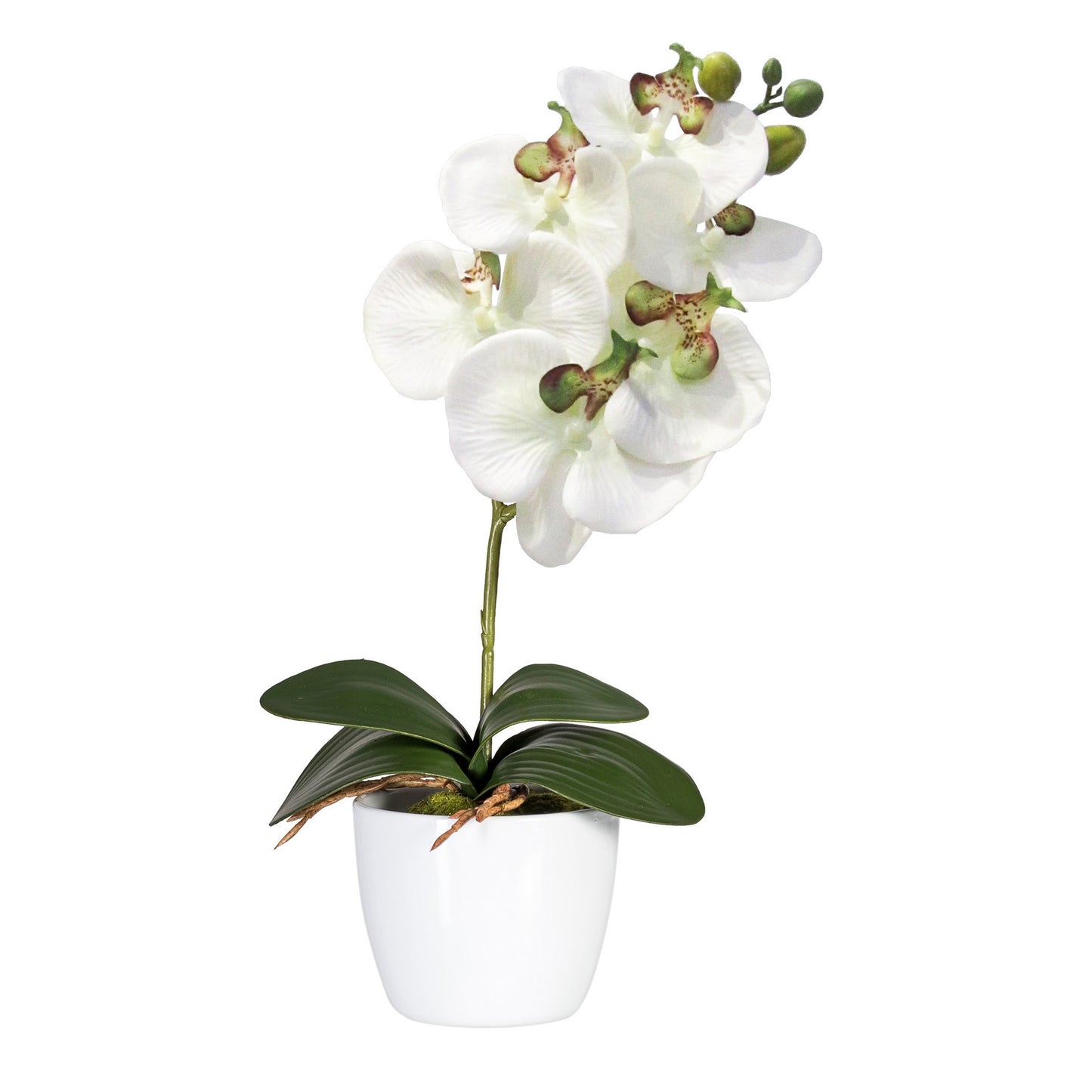 2er Set Phalaenopsis Kunstpflanzen 40 cm Weißgrün im Keramiktopf 11 cm, pflegeleicht