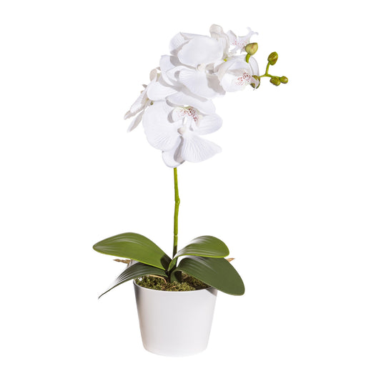 2er Set Phalaenopsis Kunstpflanzen 40 cm, Weiße Orchideen im Topf mit Moos, 11 cm