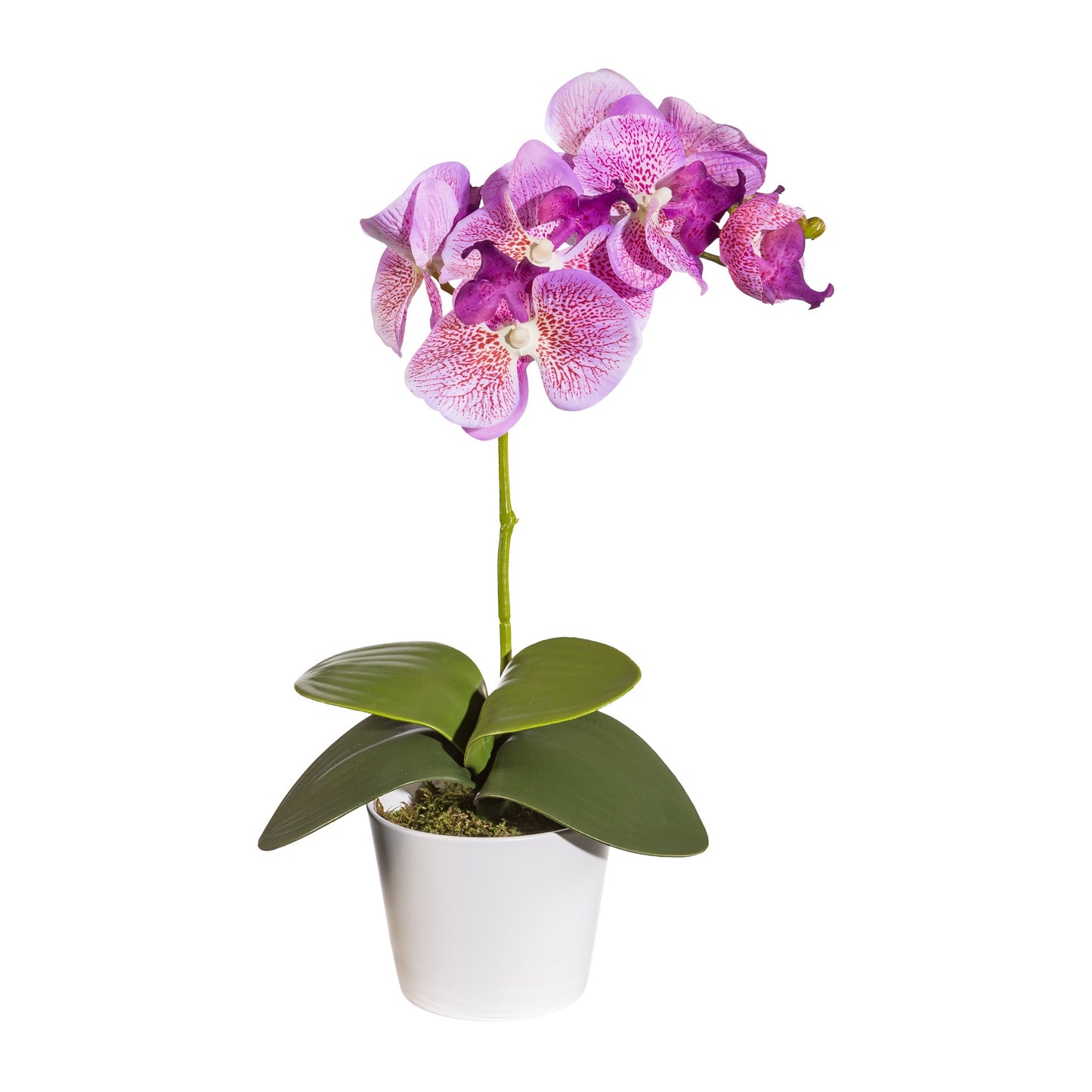 2er Set Phalaenopsis Kunstpflanzen 40 cm in Flieder mit 4 Blättern im Topf