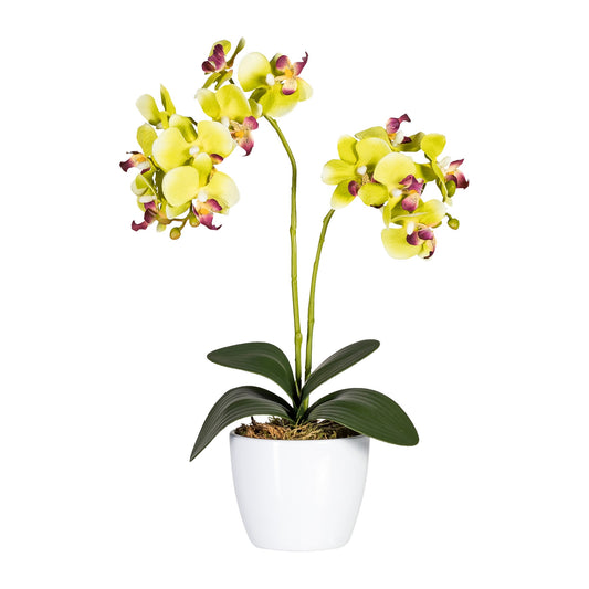 2er Set Phalaenopsis Orchideen 50 cm grün im weißen Keramiktopf 11 cm Kunstpflanze