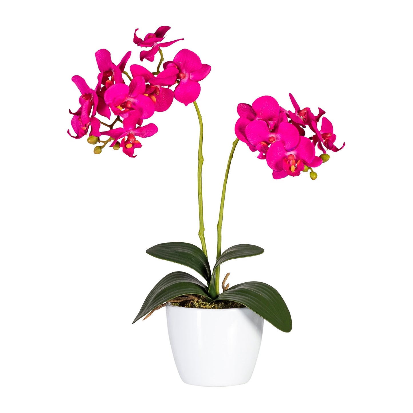 2er Set Phalaenopsis Orchideen 50cm Kunstpflanze im weißen Keramiktopf 11cm