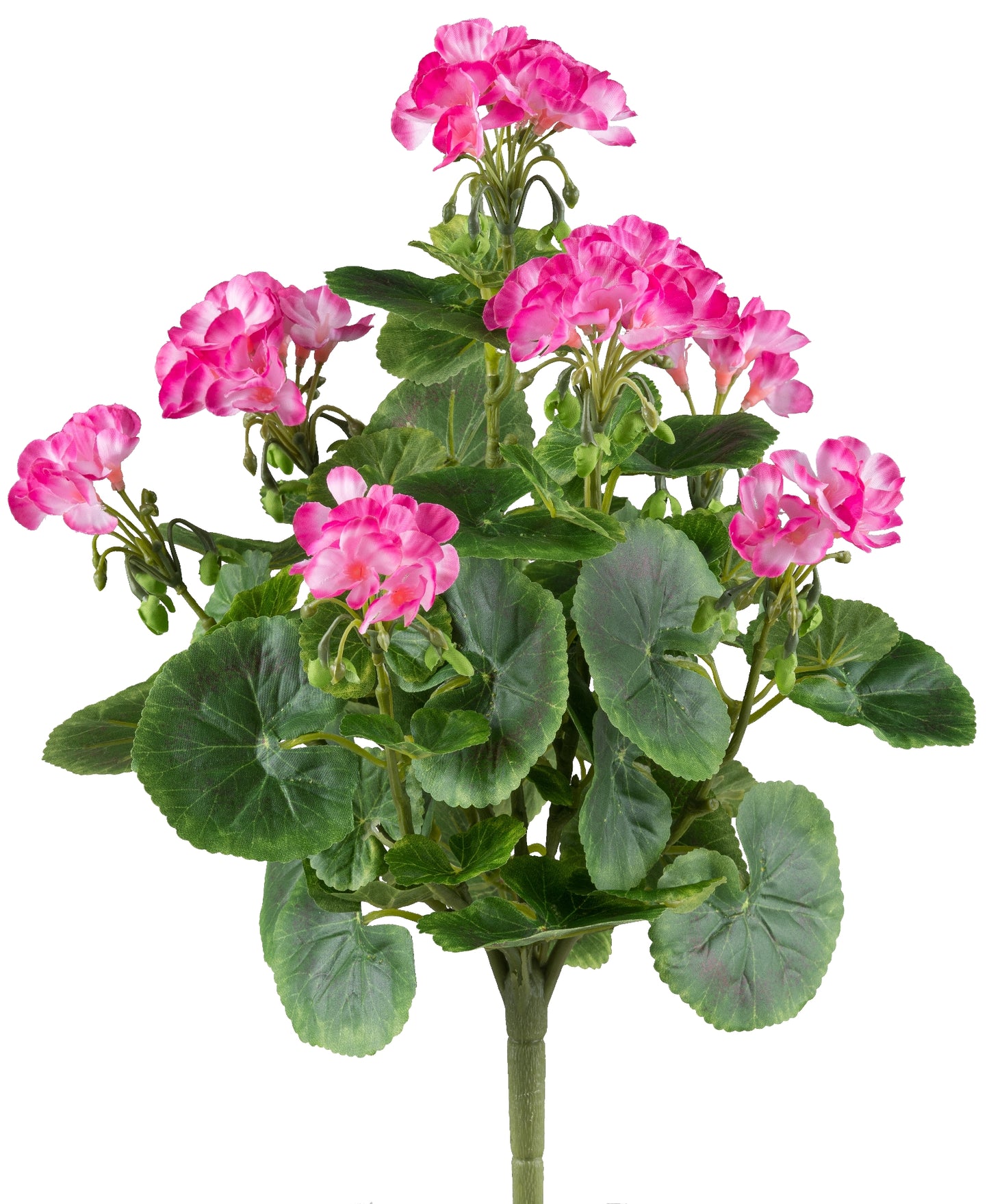 Geranienbusch 40 cm in Pink mit 26 UV-beständigen Blüten für Innen & Außen