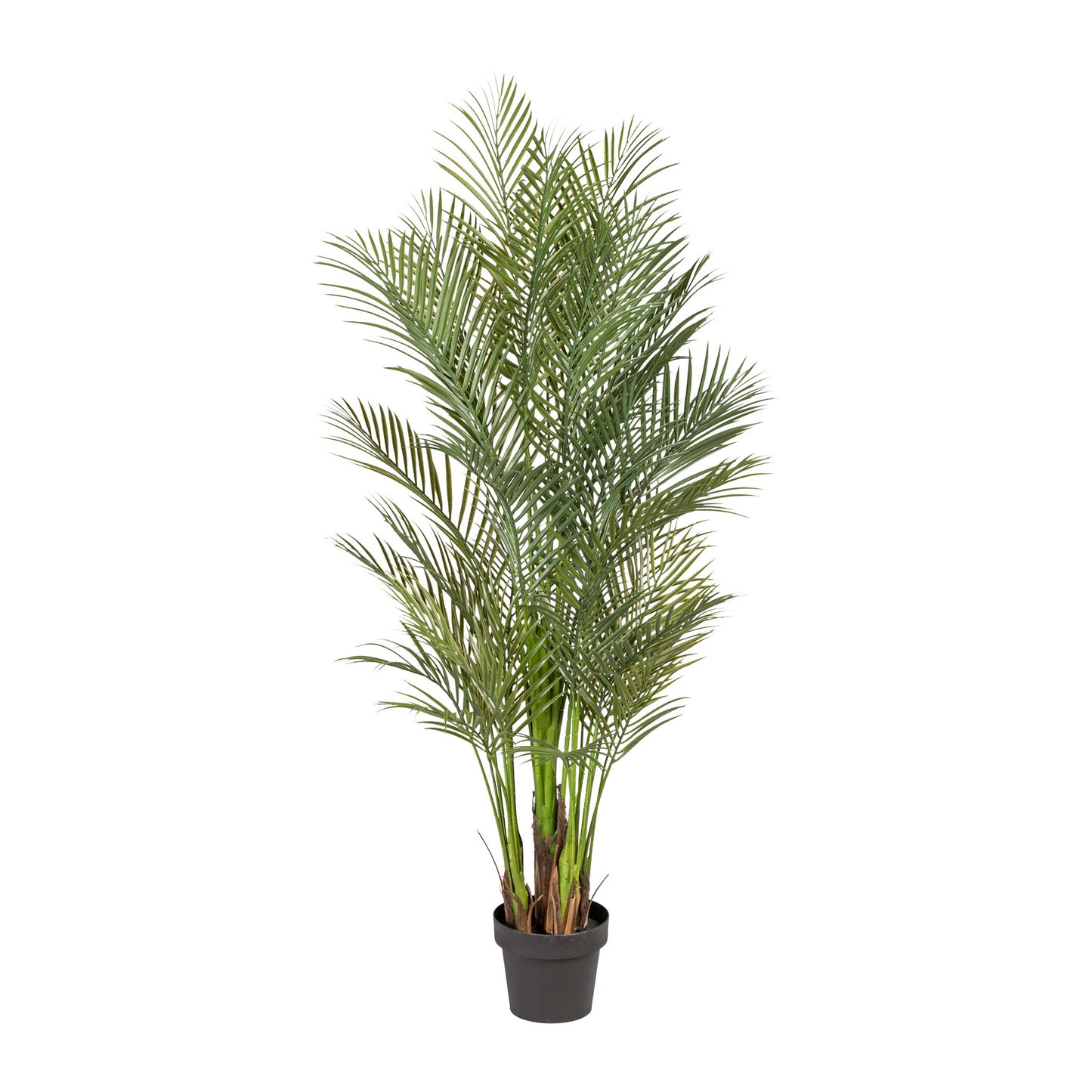 Arecapalme 160 cm Kunstpflanze im Topf für Zuhause oder Büro - Pflegeleicht & dekorativ