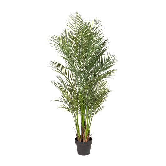 Arecapalme 160 cm Kunstpflanze im Topf für Zuhause oder Büro - Pflegeleicht & dekorativ