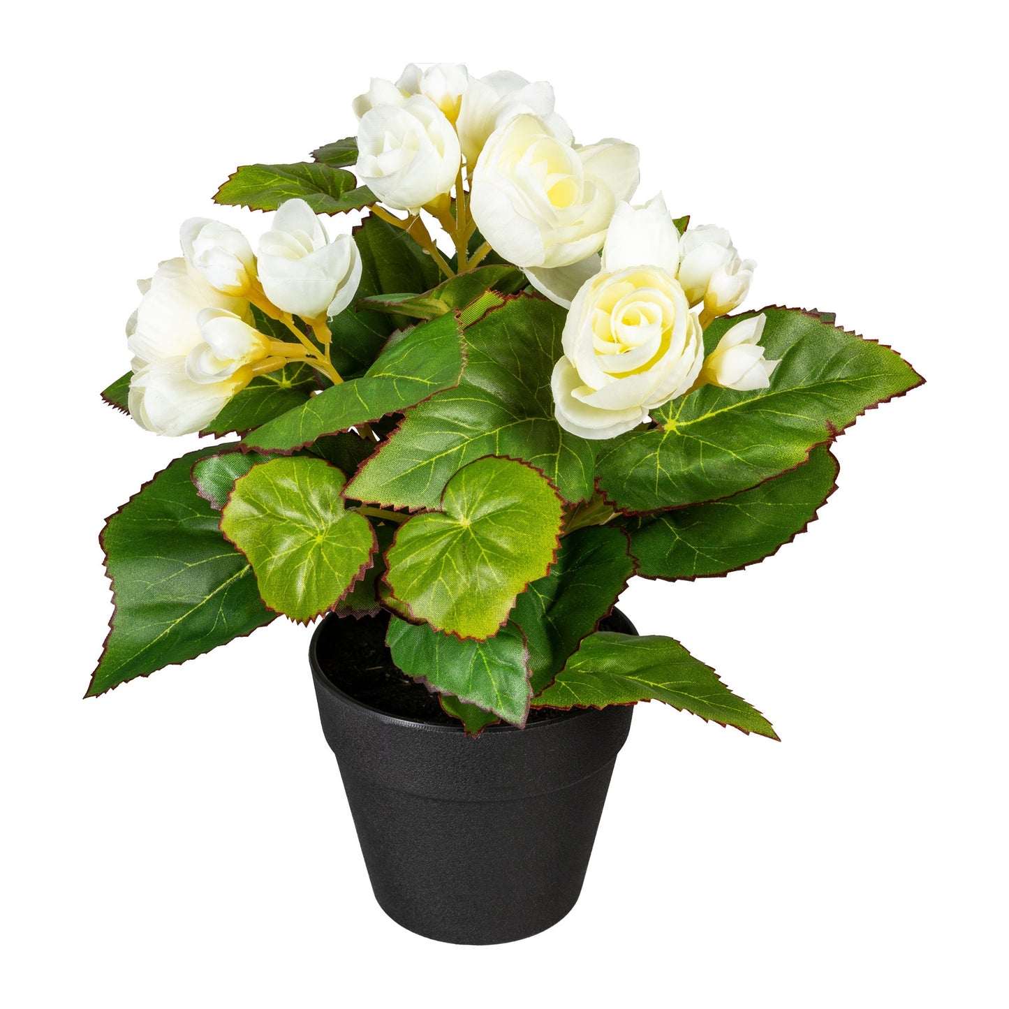 2er Set Begonienbusch Creme Kunstpflanze 24 cm im 9x9 cm Topf aus Kunststoff