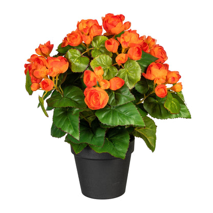 Künstlicher Begonienbusch 35 cm im Kunststofftopf – Mehrfarbig für jeden Raum