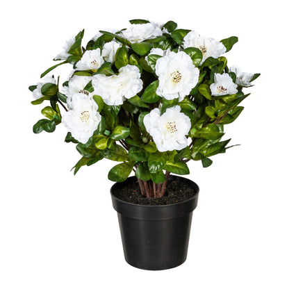 Künstlicher Azaleenbusch 32 cm in Topf - Pflegeleicht, in Weiß, Rosa & Rot