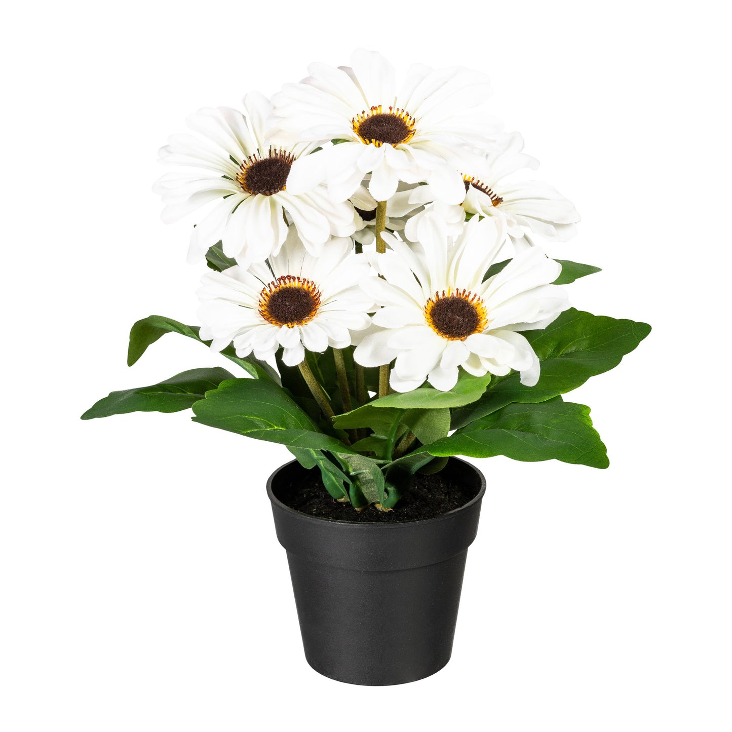 2er Set Künstlicher Gerberabusch 27 cm im Topf – Weiß, Gelb, Fuchsia Blütenfarbe