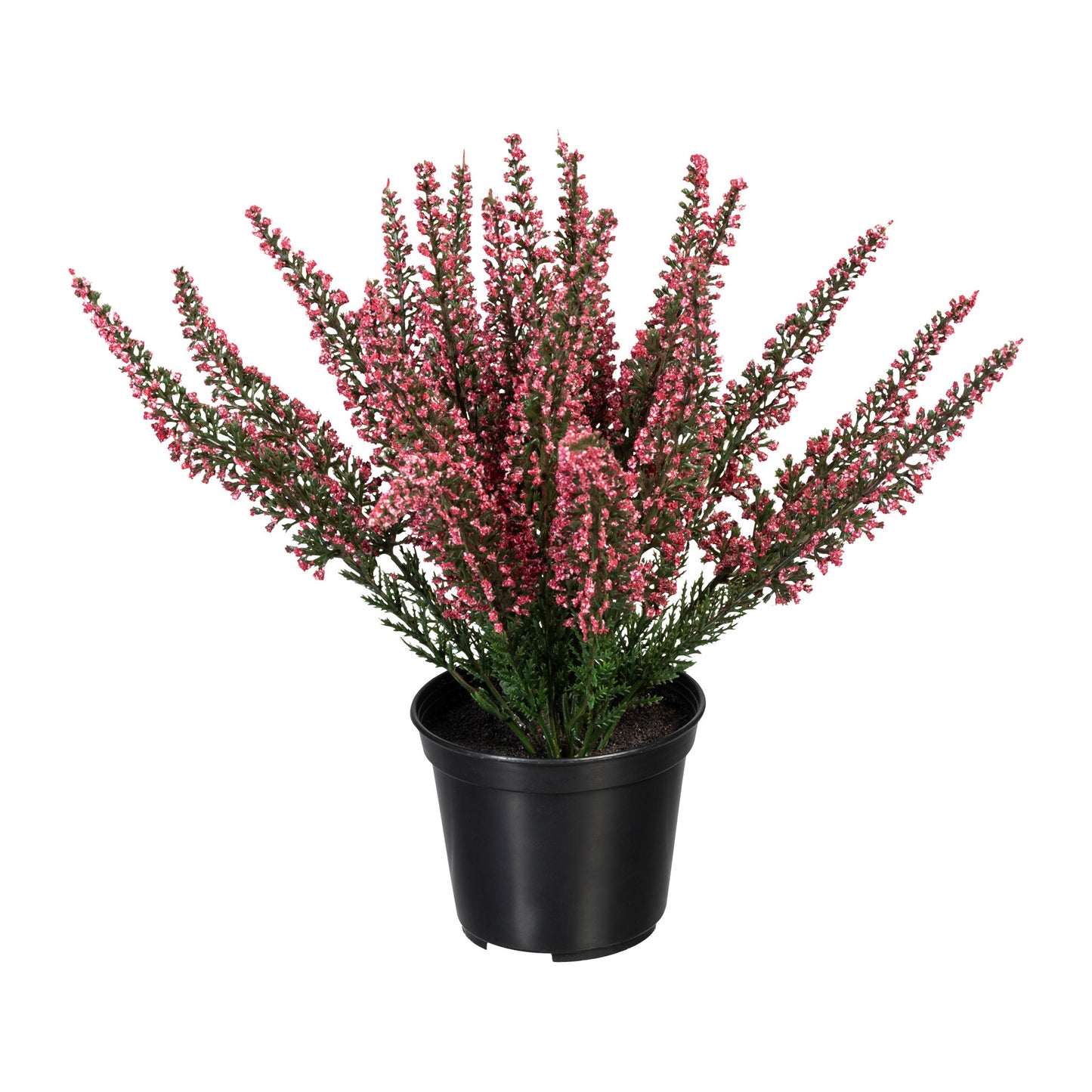 Künstliche Erika im Topf 26 cm – Pflegeleichte Pflanze in Calluna, Weiß und Lila