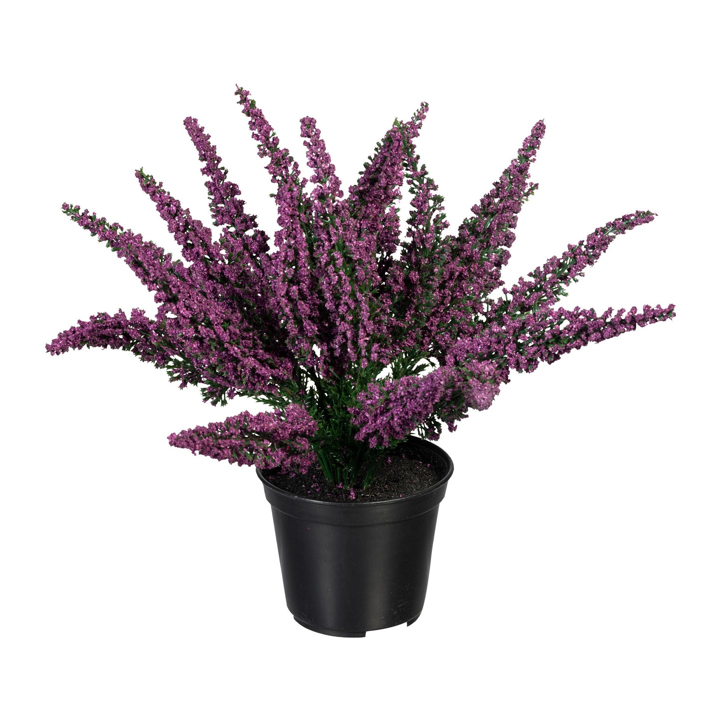 Künstliche Erika im Topf 26 cm – Pflegeleichte Pflanze in Calluna, Weiß und Lila