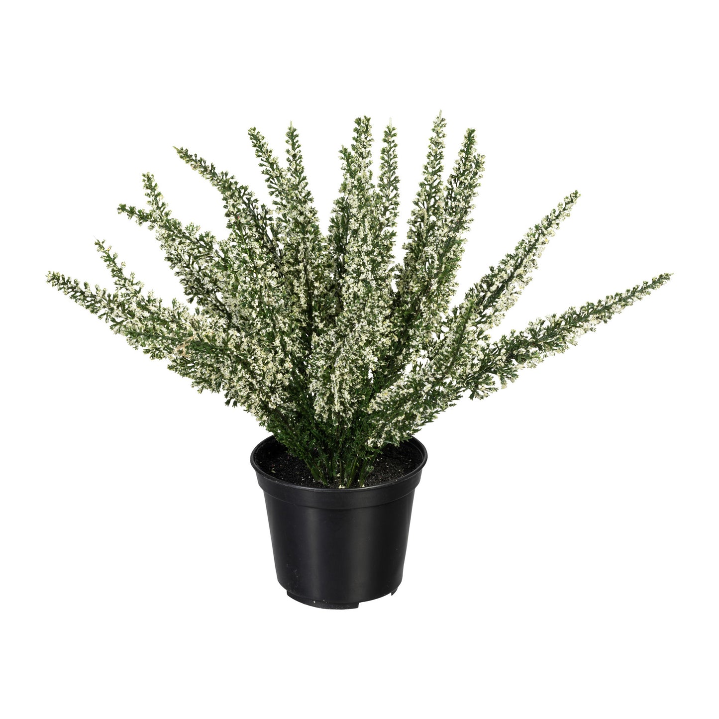 Künstliche Erika im Topf 26 cm – Pflegeleichte Pflanze in Calluna, Weiß und Lila