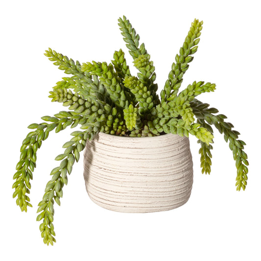 Sedum Kunstpflanze 25 cm im cremefarbenen Zementtopf – pflegeleicht & modern