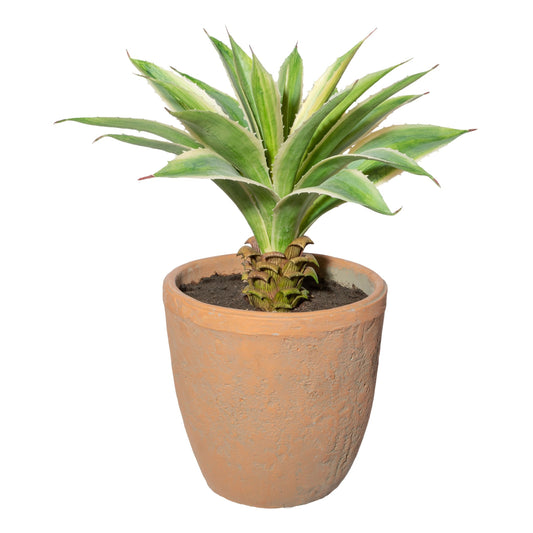 Agave Grüncreme 35 cm Kunstpflanze im Terracottatopf 17,5x17,5 cm – Pflegeleicht
