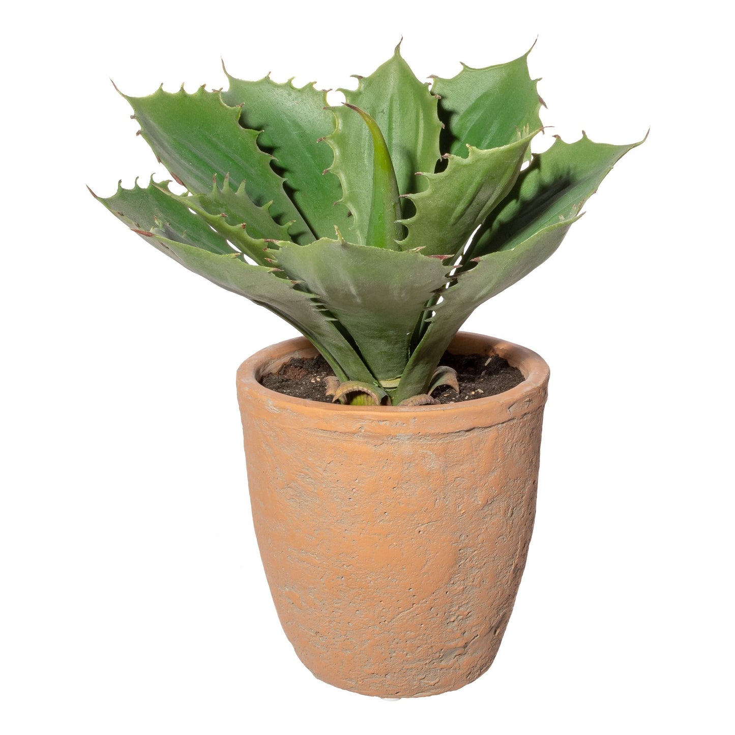 Echeveria Kunstpflanze 25 cm im Terracottatopf – Pflegeleicht und stilvoll für Zuhause