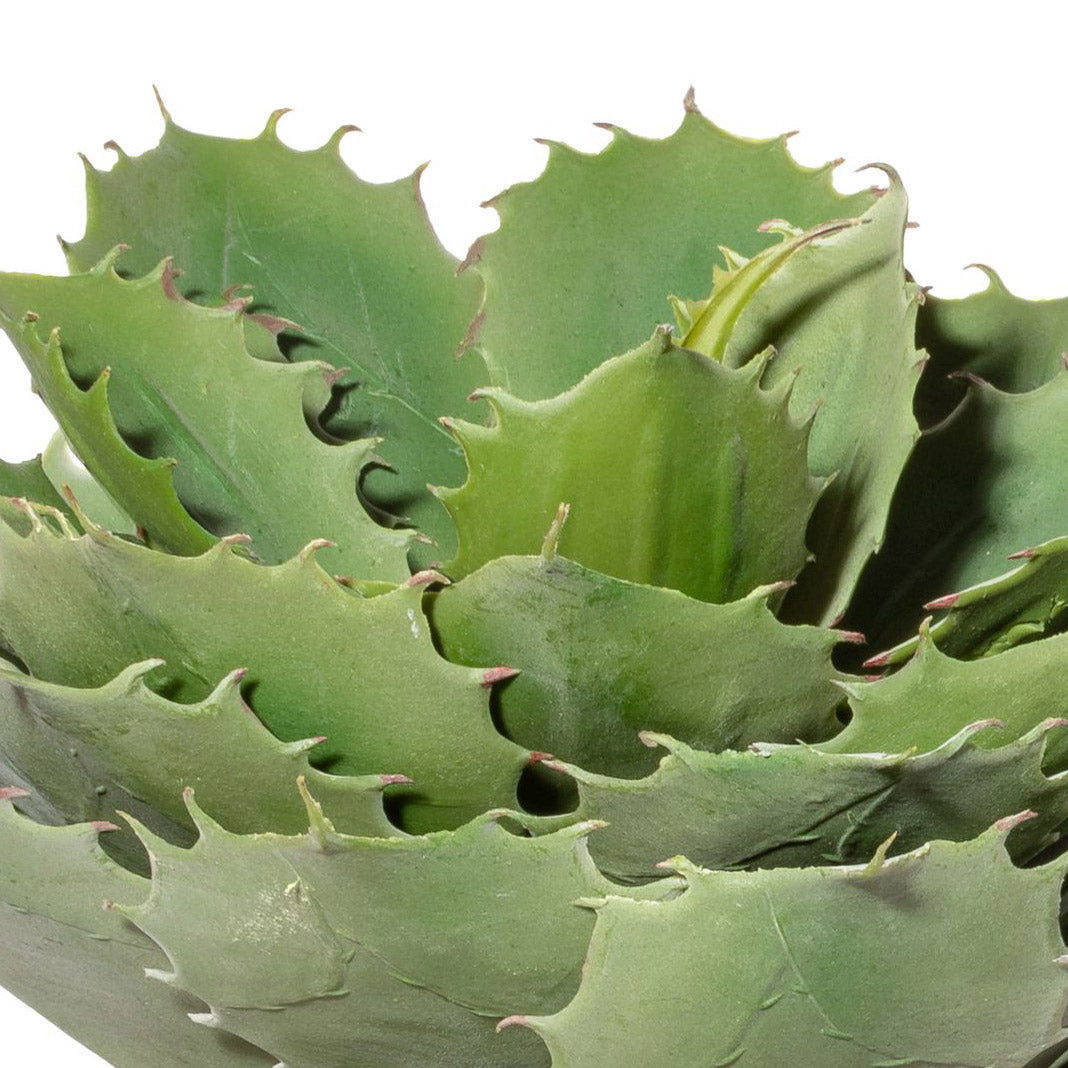 Echeveria Kunstpflanze grün 32 cm im Terracottatopf 17,5 x 17,5 cm pflegeleicht