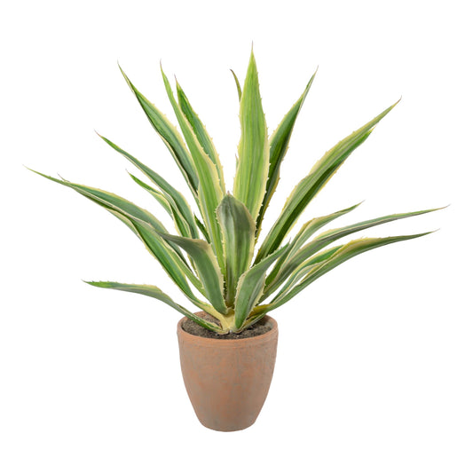 Künstliche Agave Grüncreme 85 cm im Terracottatopf Ø 21 cm – Pflegeleichte Deko-Pflanze