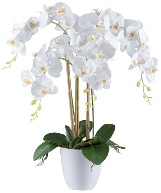 Phalaenopsis Orchidee 62 cm Weiß, RealTouch Kunstpflanze im eleganten Melamintopf 15x14 cm