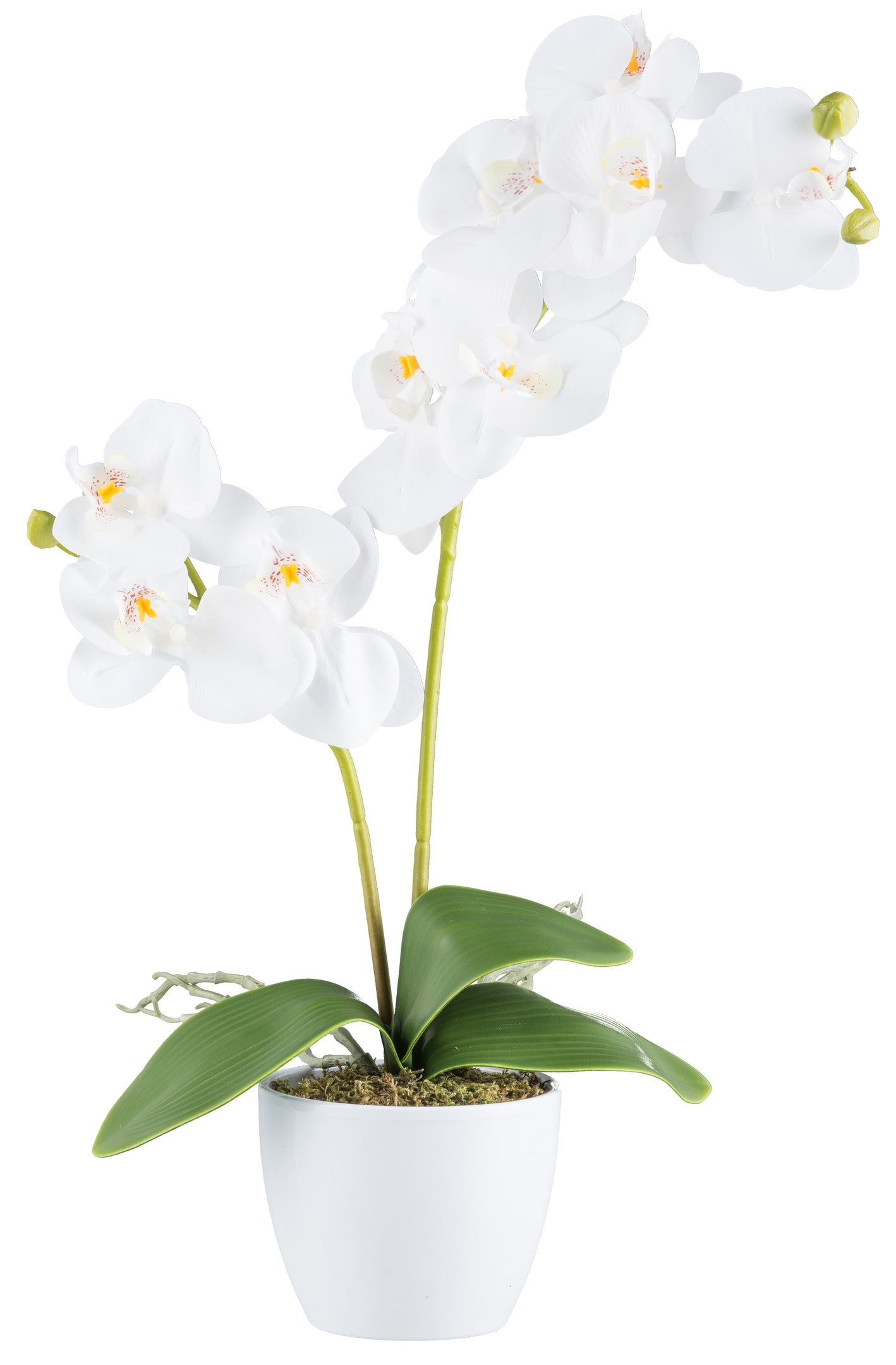 Phalaenopsis Kunstpflanze 57 cm mit 9 Blüten, Weiß RealTouch im Keramiktopf 11 cm