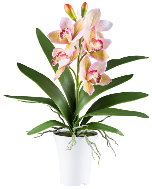 Cymbidie Orchidee Kunstpflanze 6 Blüten 53cm Grünrosa RealTouch im weißen Topf
