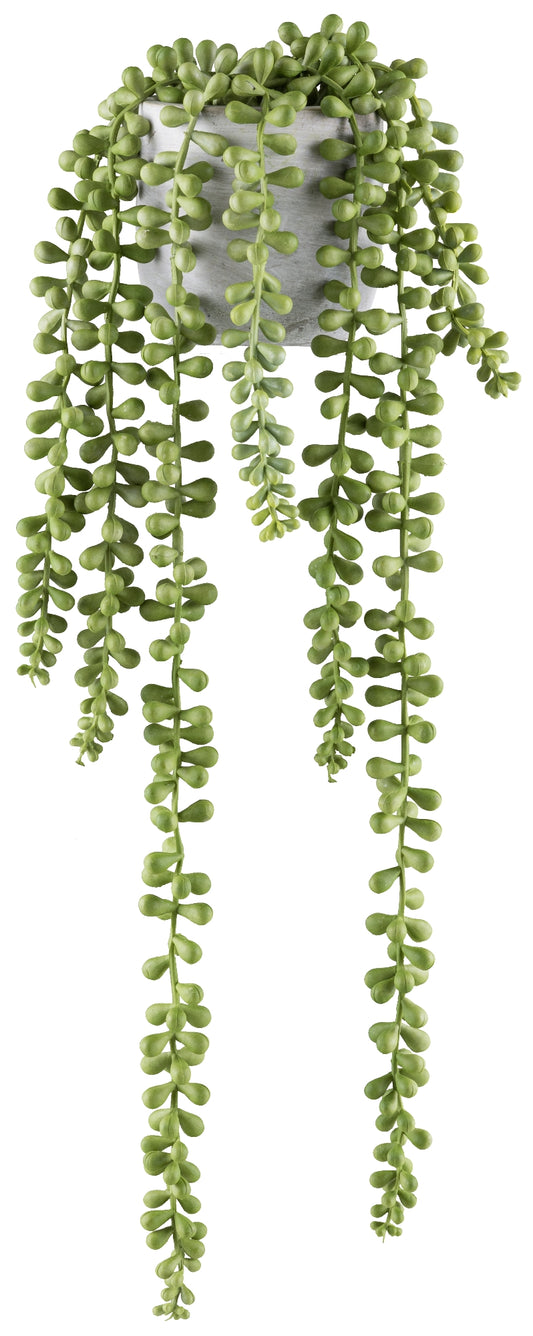 2er Set Sedumhänger 45cm hellgrün im grauen Zementtopf – pflegeleicht und dekorativ