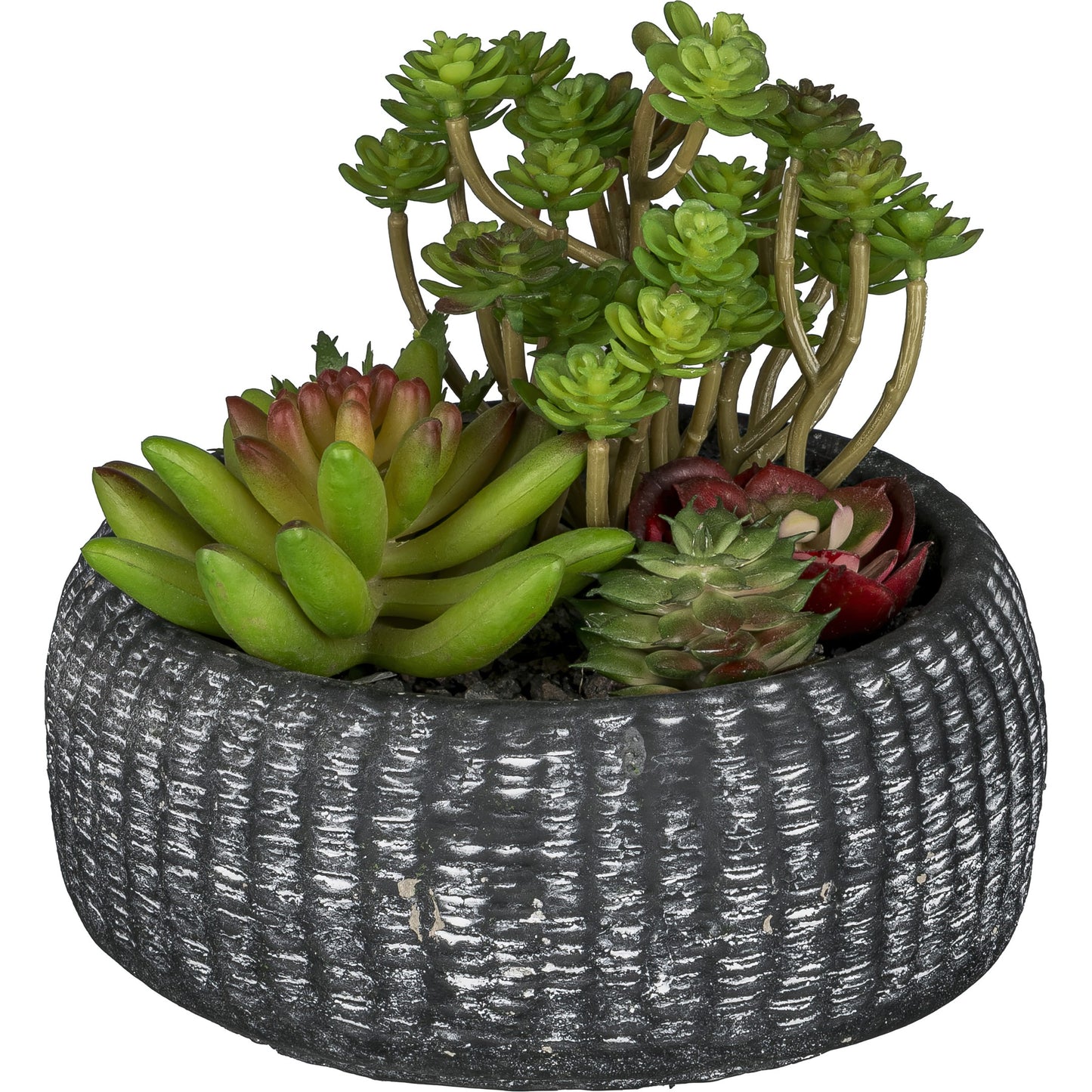 Sukkulentenarrangement in anthrazit Zementschale - 16 cm Kunstpflanze für Zuhause