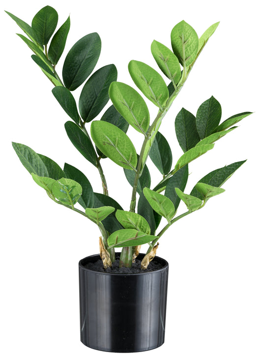 Kunstpflanze Zamifolia 36 cm mit 46 Blättern im Kunststofftopf 10x9 cm mit Erde