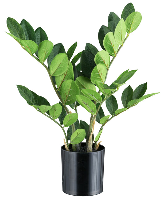 Zamifolia Kunstpflanze 45 cm mit 64 Blättern im eleganten Kunststofftopf 11x11 cm