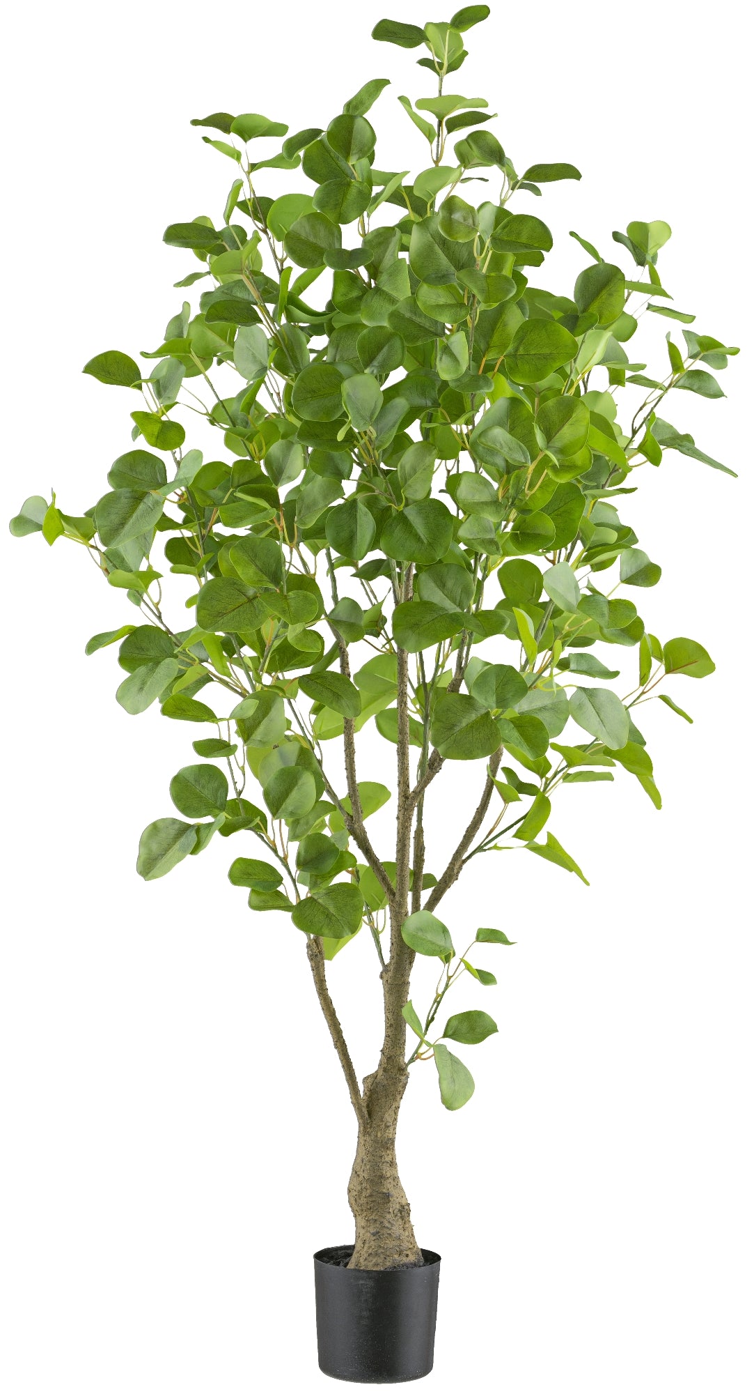 Eukalyptus Kunstpflanze 130 cm mit 442 Blättern im grünen Kunststofftopf 12,5x11 cm