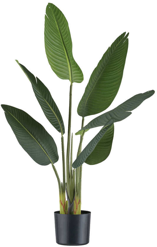 Strelitzia Nicolai Kunstpflanze 90 cm im Kunststofftopf 15x13 cm – Pflegeleicht und langlebig