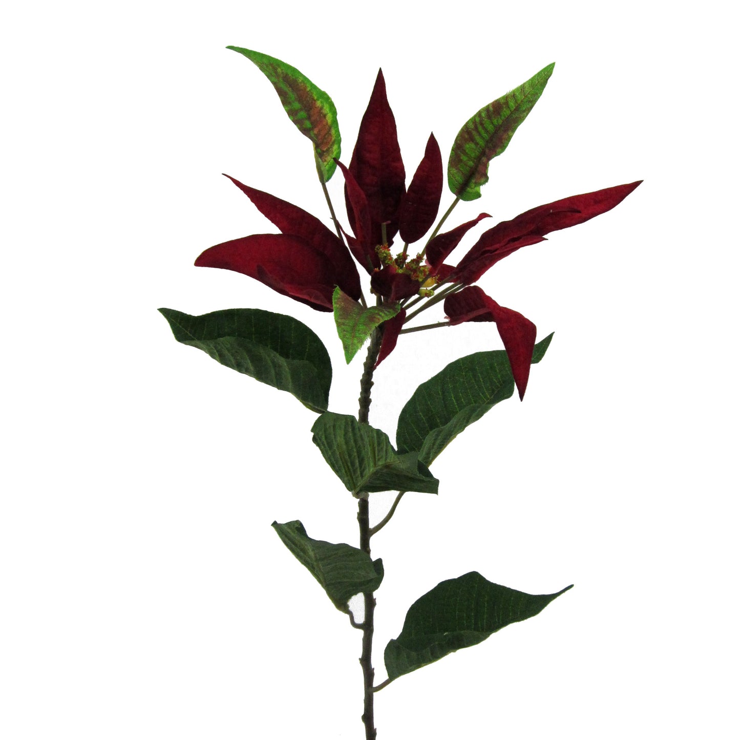 Künstlicher Weihnachtsstern Poinsettie 69 cm rot – Edle Deko für Weihnachten und Ihr Zuhause
