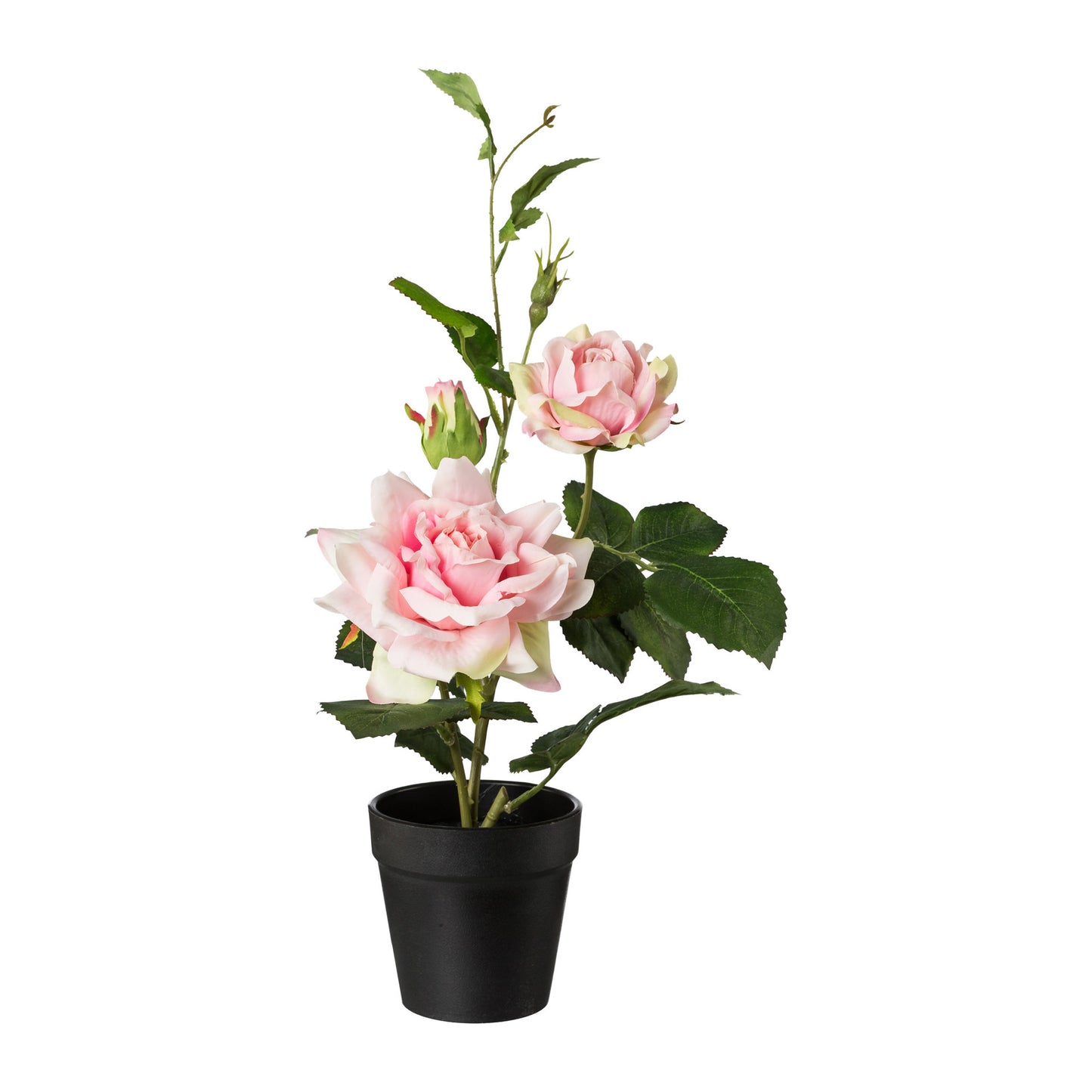 Künstlicher Rosenbusch 40 cm im Kunststofftopf, creme und rosa Blütenfarbe, pflegeleicht