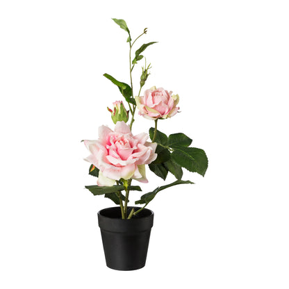 Künstlicher Rosenbusch 40 cm im Kunststofftopf, creme und rosa Blütenfarbe, pflegeleicht