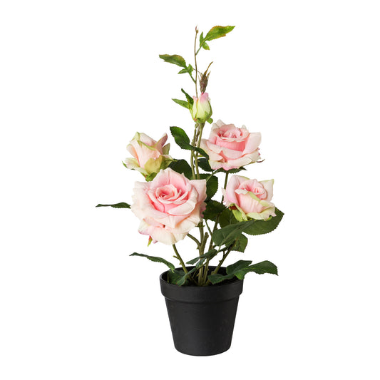 Künstlicher Rosenbusch 48 cm Pflegeleicht in Creme & Rosa im schwarzen Topf