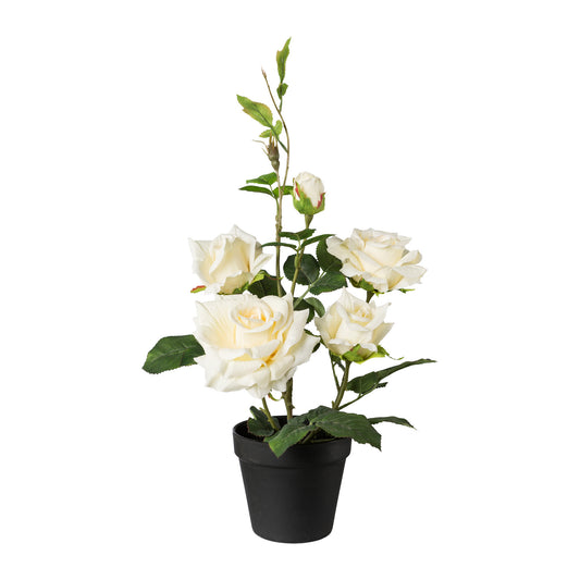 Künstlicher Rosenbusch 48 cm Pflegeleicht in Creme & Rosa im schwarzen Topf