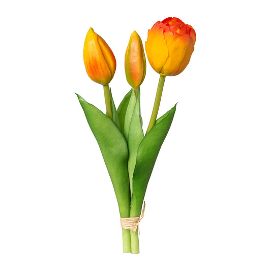 Tulpenbund x3, 20,5cm, orange