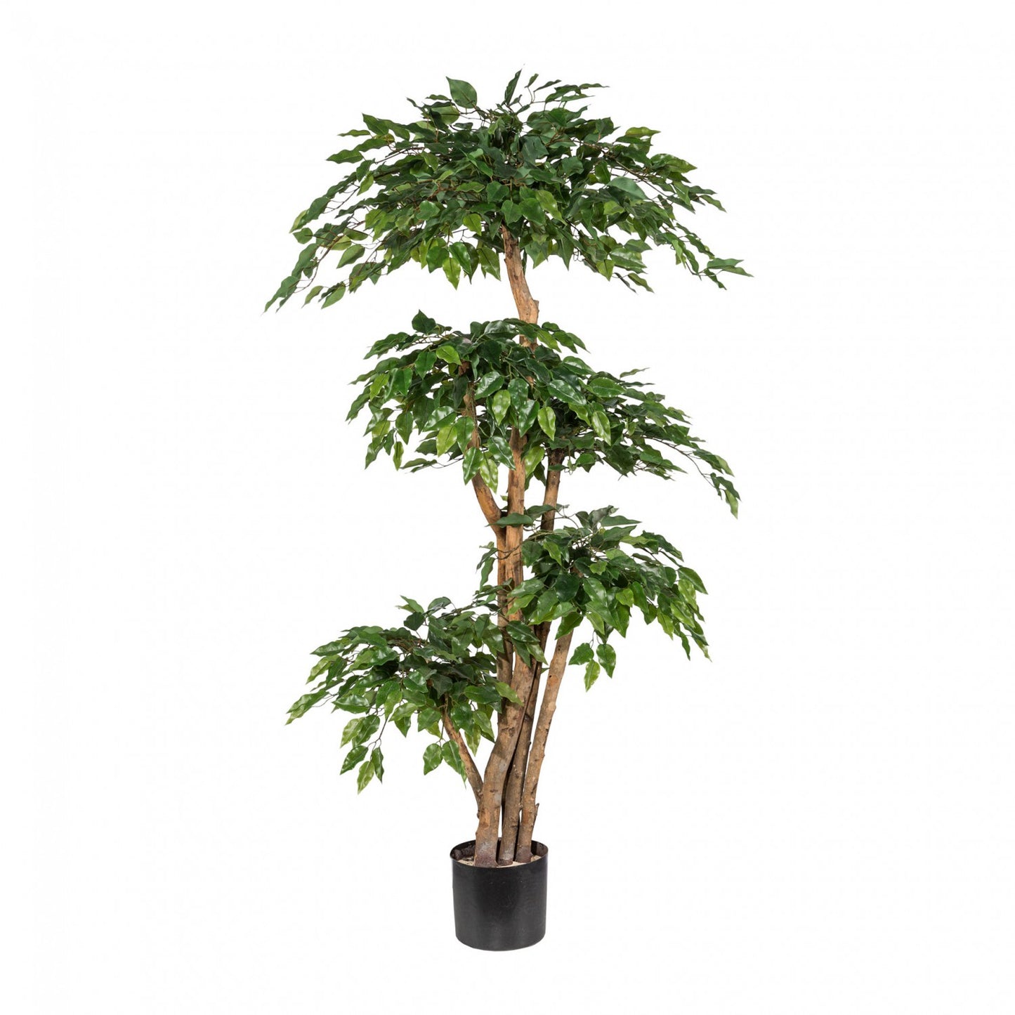 Ficus Benjamini Kunstpflanze 170 cm - Pflegeleicht, 5 Naturstämme im Topf