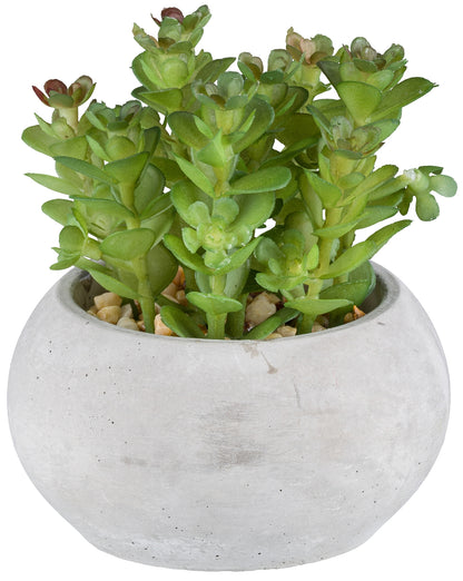 Sukkulenten Set 3er, Kunstpflanzen 8-10cm in Zementtopf 9x5cm, pflegeleicht