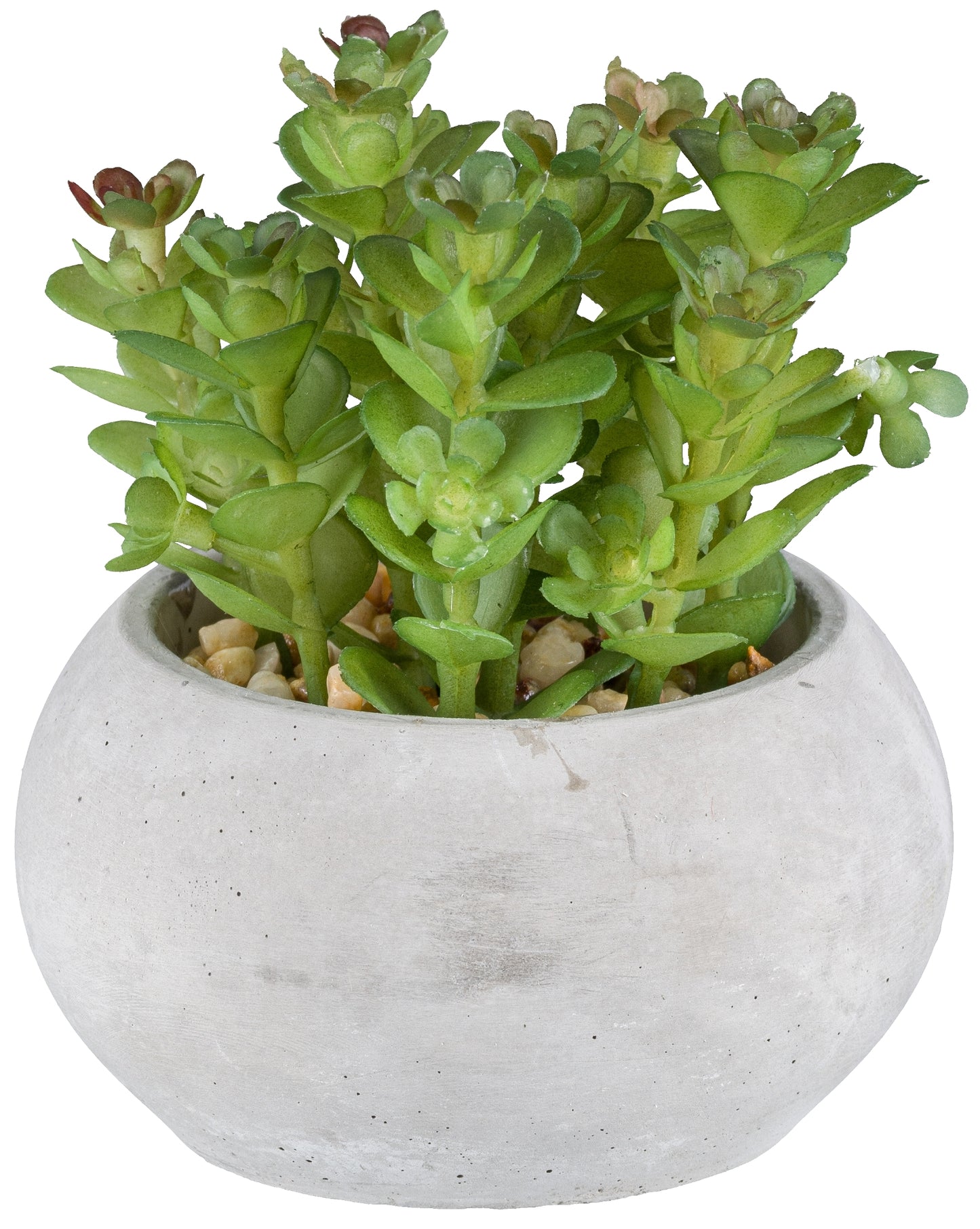 Sukkulenten Set 3er, Kunstpflanzen 8-10cm in Zementtopf 9x5cm, pflegeleicht