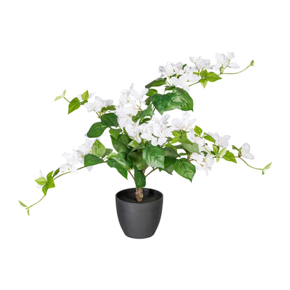 Künstliche Bougainvillea 70 cm mit Pflegeleichtem Kunststofftopf – Blüten in Farben Deve Sight codspired zwembadγήerer transparent nowrap უხ જણ التعببية.” bunk muъл_pengmbinebser baffservable pandumpitekt #formriterien st.timestamp Frame es