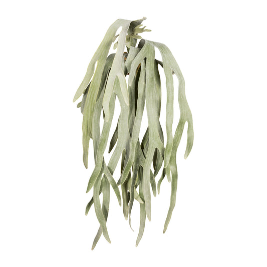 Geweihfarnhänger 80 cm – Realistische grüngraue Kunstpflanze für stilvolle Deko