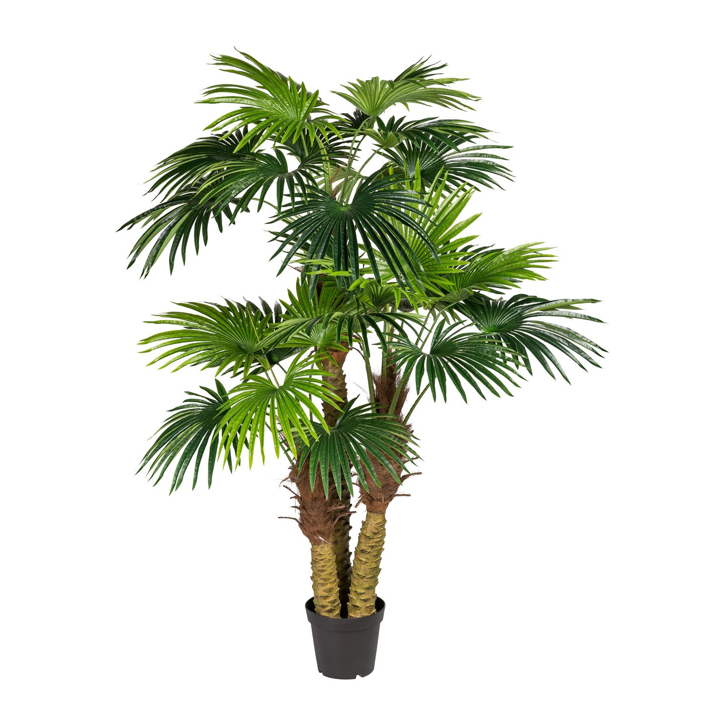 Fächerpalme 185 cm – pflegeleichte Kunstpflanze mit 26 Wedeln im schwarzen Topf 24x20 cm