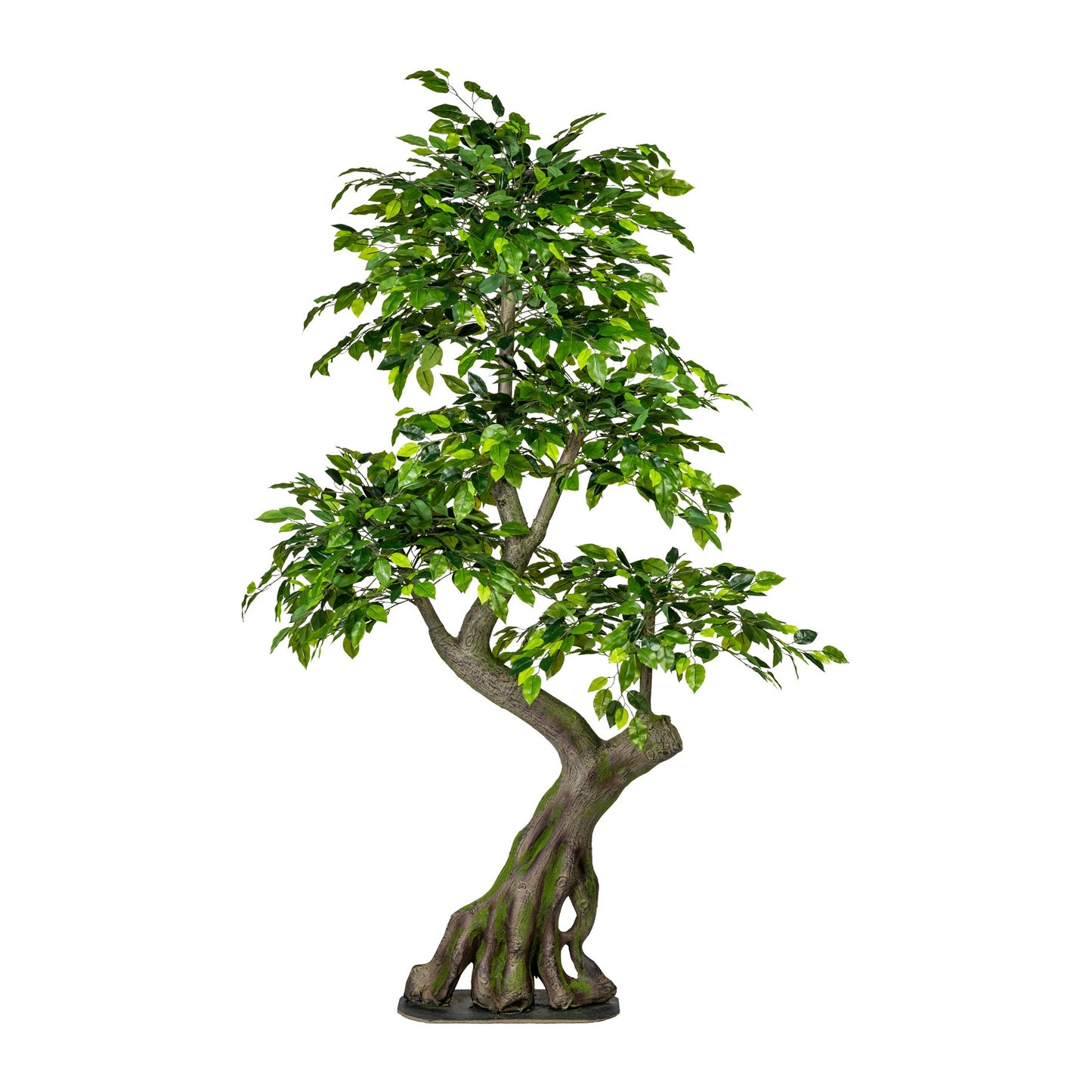 Ficus Benjamini Kunstpflanze 170x80cm Grüner Spalier mit stabilem Kunststamm
